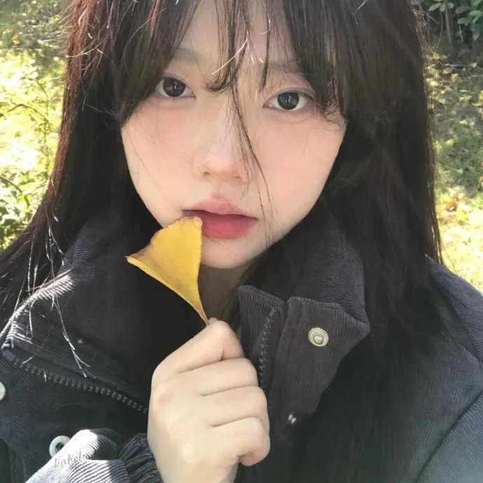 灵书妙探第四季