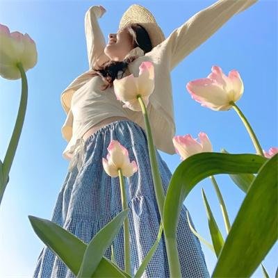 风飞鲨